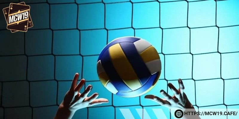 Cá độ bóng chuyền là gì?