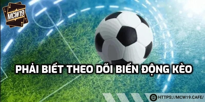 Phải biết theo dõi biến động kèo